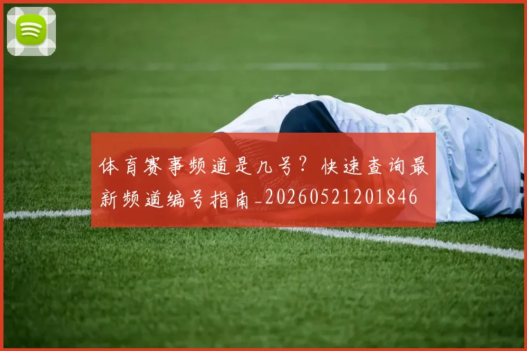 体育赛事频道是几号?快速查询最新频道编号指南_20260521201846