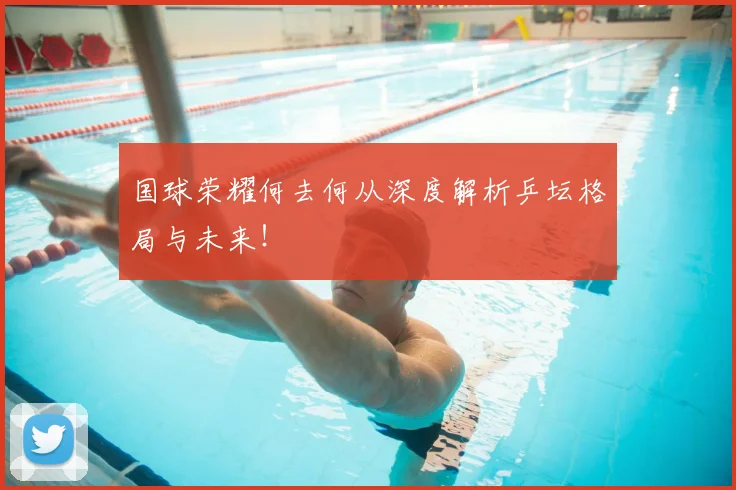 国球荣耀何去何从深度解析乒坛格局与未来!