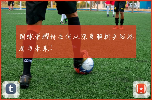 国球荣耀何去何从深度解析乒坛格局与未来!