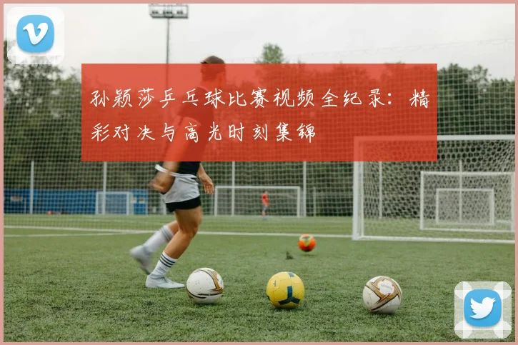 孙颖莎乒乓球比赛视频全纪录：精彩对决与高光时刻集锦